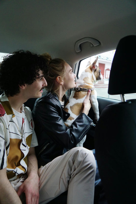 Traveling with Pets: A Journey Full of Love and Style!