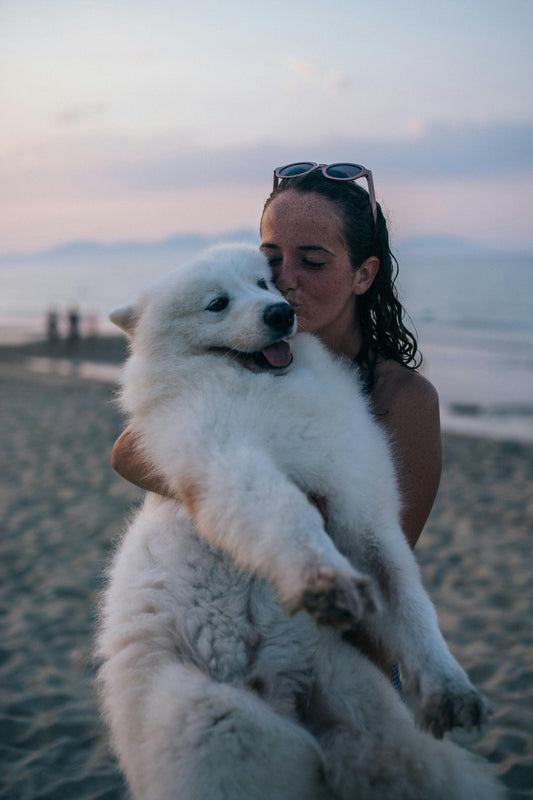 Love for pets