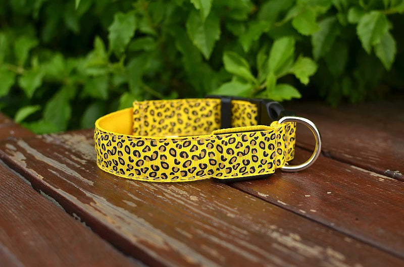 LED Dog Collar – Stylish, Waterproof & Safety-Enhanced Night Glow with Adjustable Fit