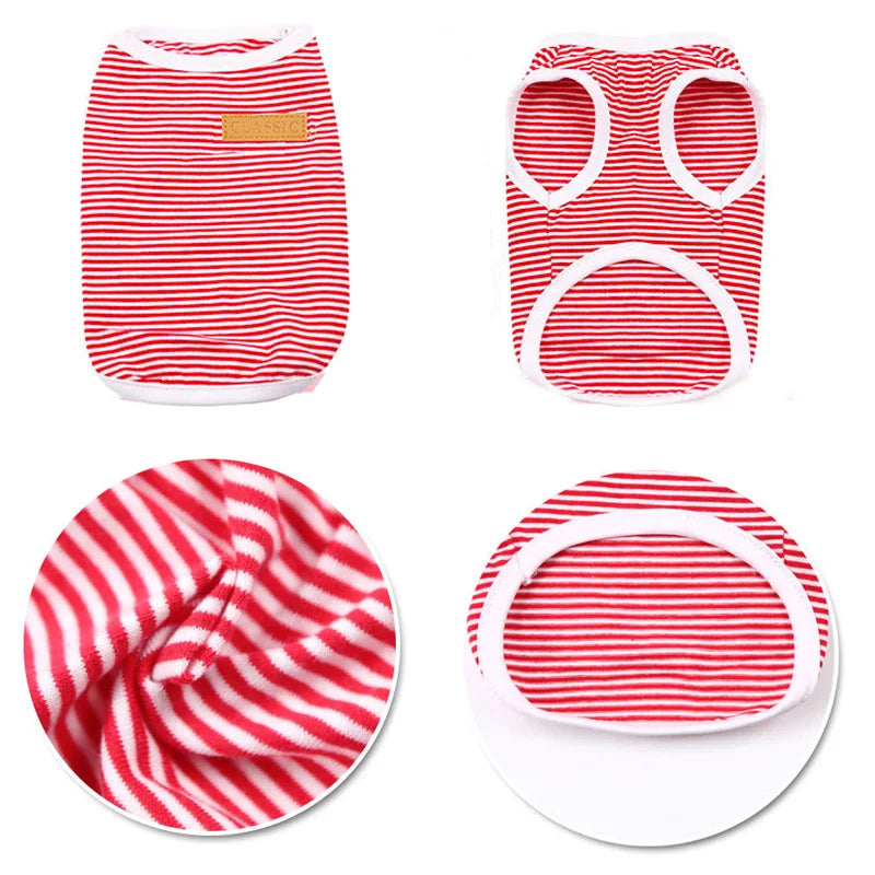 Striped Cat Vest – Classic Fashion for Feline Trendsetters