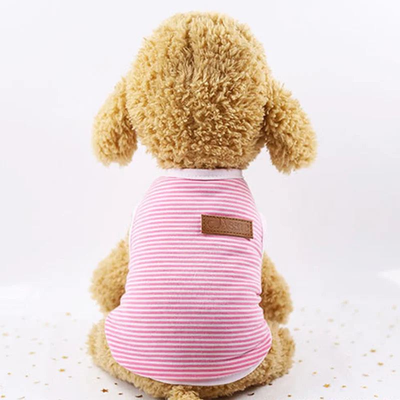 Striped Cat Vest – Classic Fashion for Feline Trendsetters