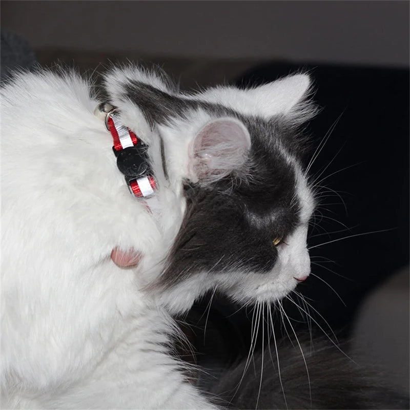 Color Reflective Cat Collars – Safe, Stylish & Perfect for Cats and Small Dogs