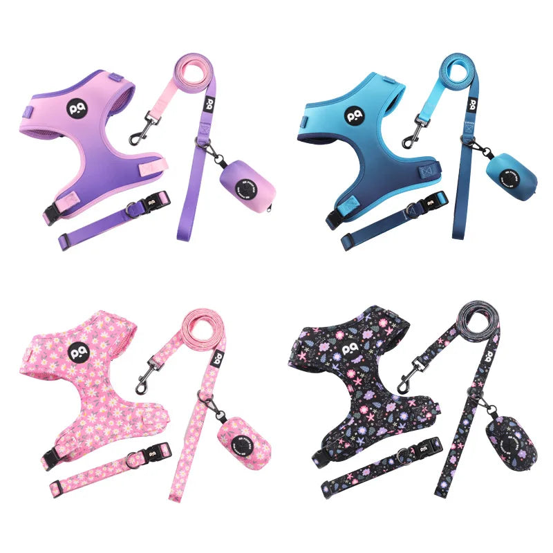 Adjustable Mesh Pet Harness & Leash Set – Vibrant Colors