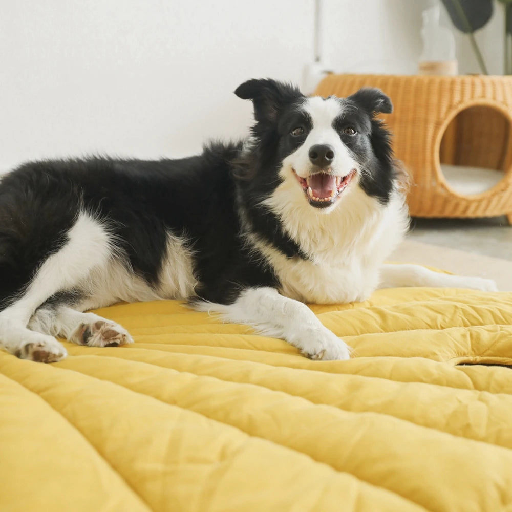Leaf-Shaped Pet Bed Mat – Cozy, Stylish & Perfect for Every Pet