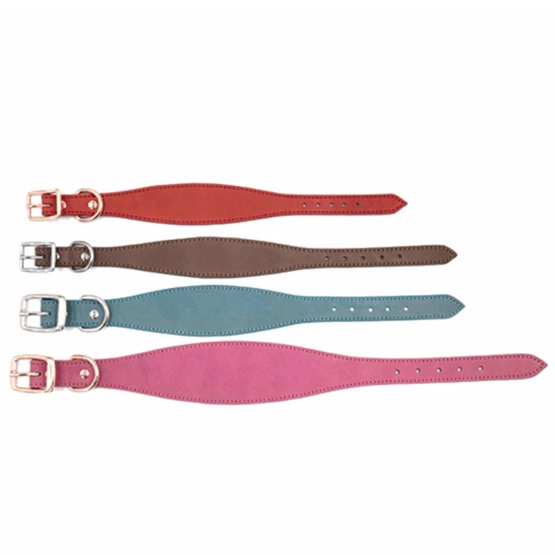 Premium Leather Dog Collar – Stylish, Comfortable & Designed for Sighthounds