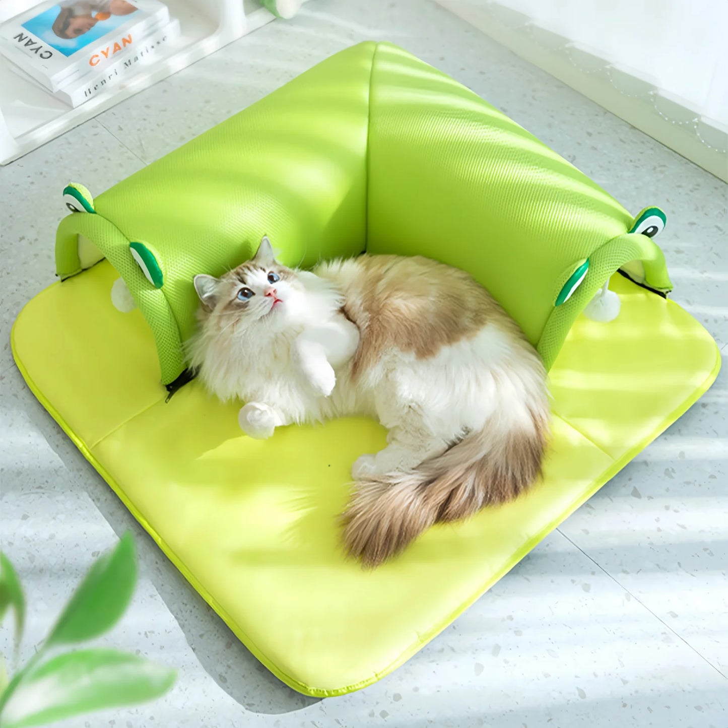 Hight Quality Cat Tunnels Bed for Indoors for All Seasons- Lovely Designs!