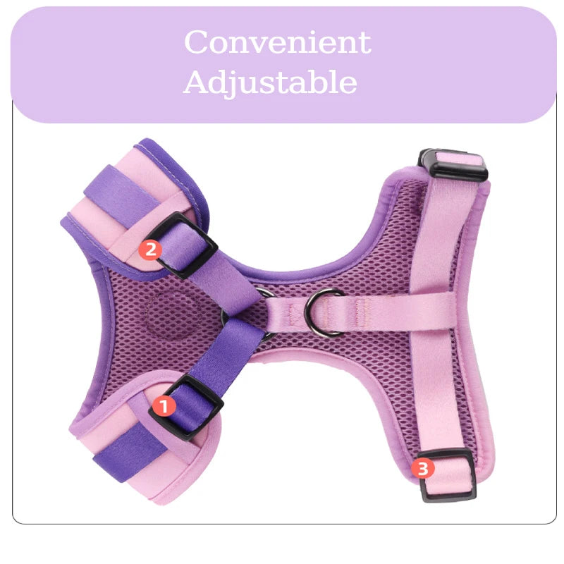 Adjustable Mesh Pet Harness & Leash Set – Vibrant Colors