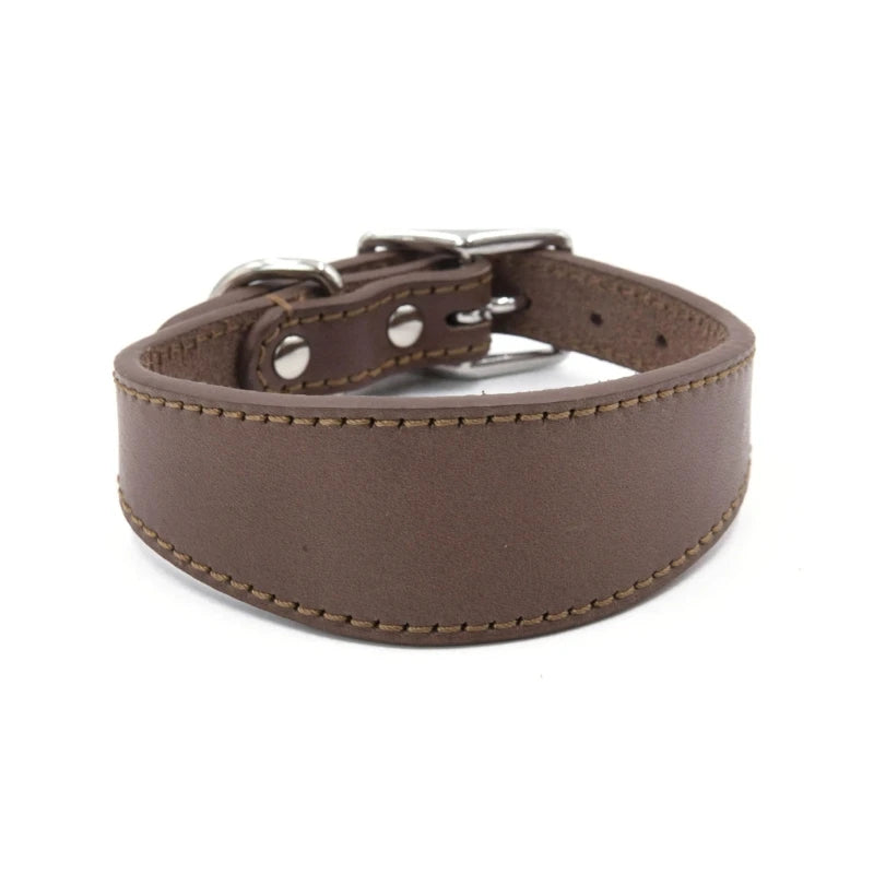 Premium Leather Dog Collar – Stylish, Comfortable & Designed for Sighthounds