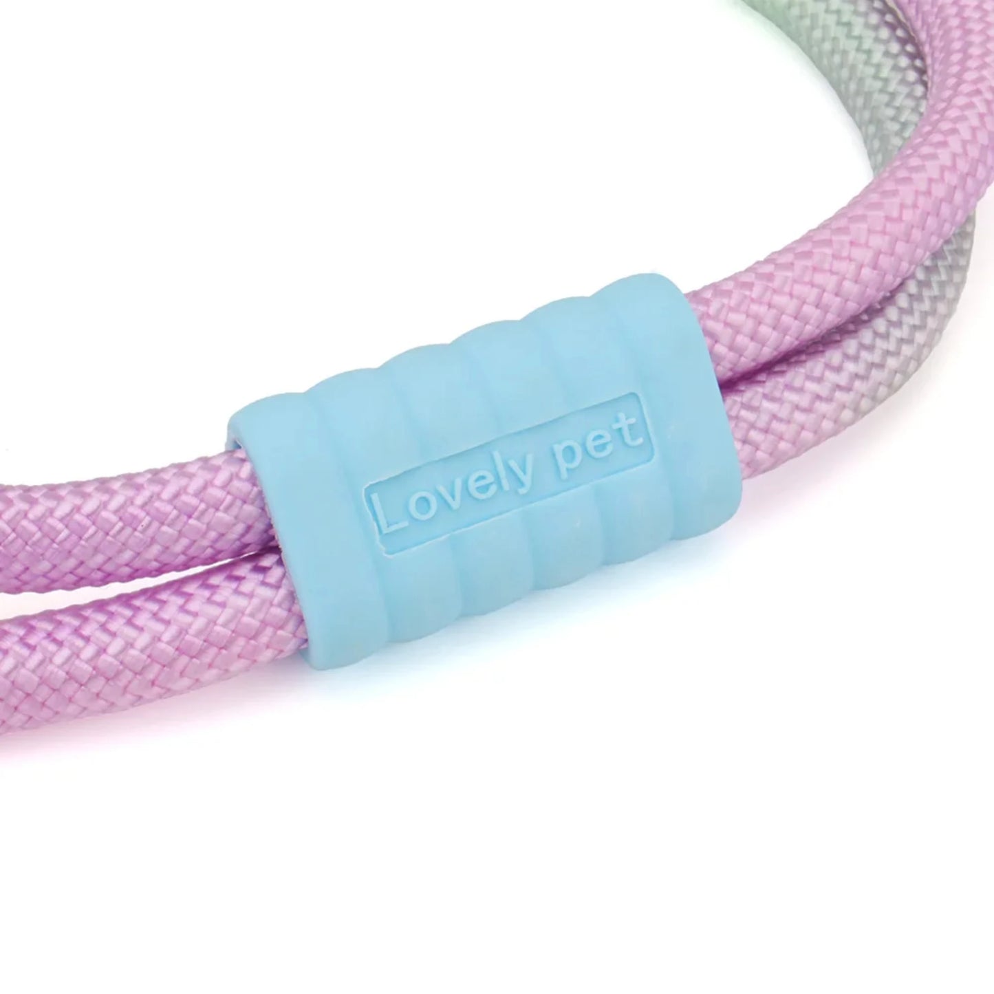 Bold Dog Collar – Stylish, Lightweight