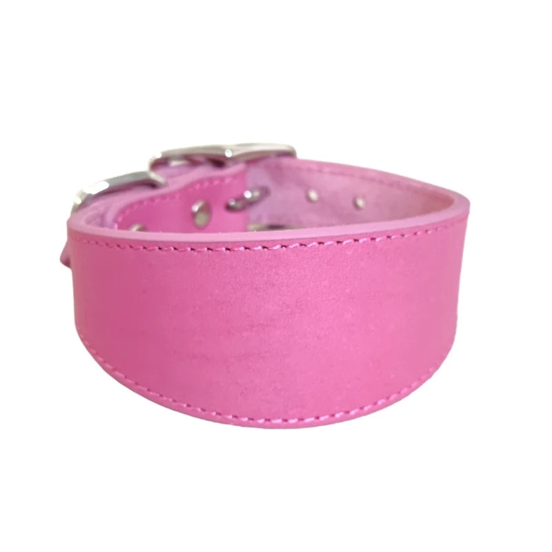 Premium Leather Dog Collar – Stylish, Comfortable & Designed for Sighthounds