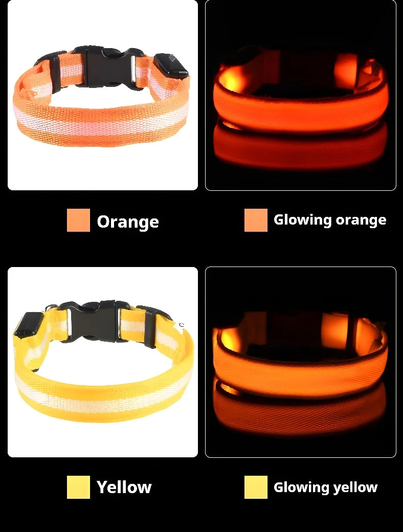 Glow-in-the-Dark LED Dog Collar & Leash – Night Safety for Your Luminous Pet