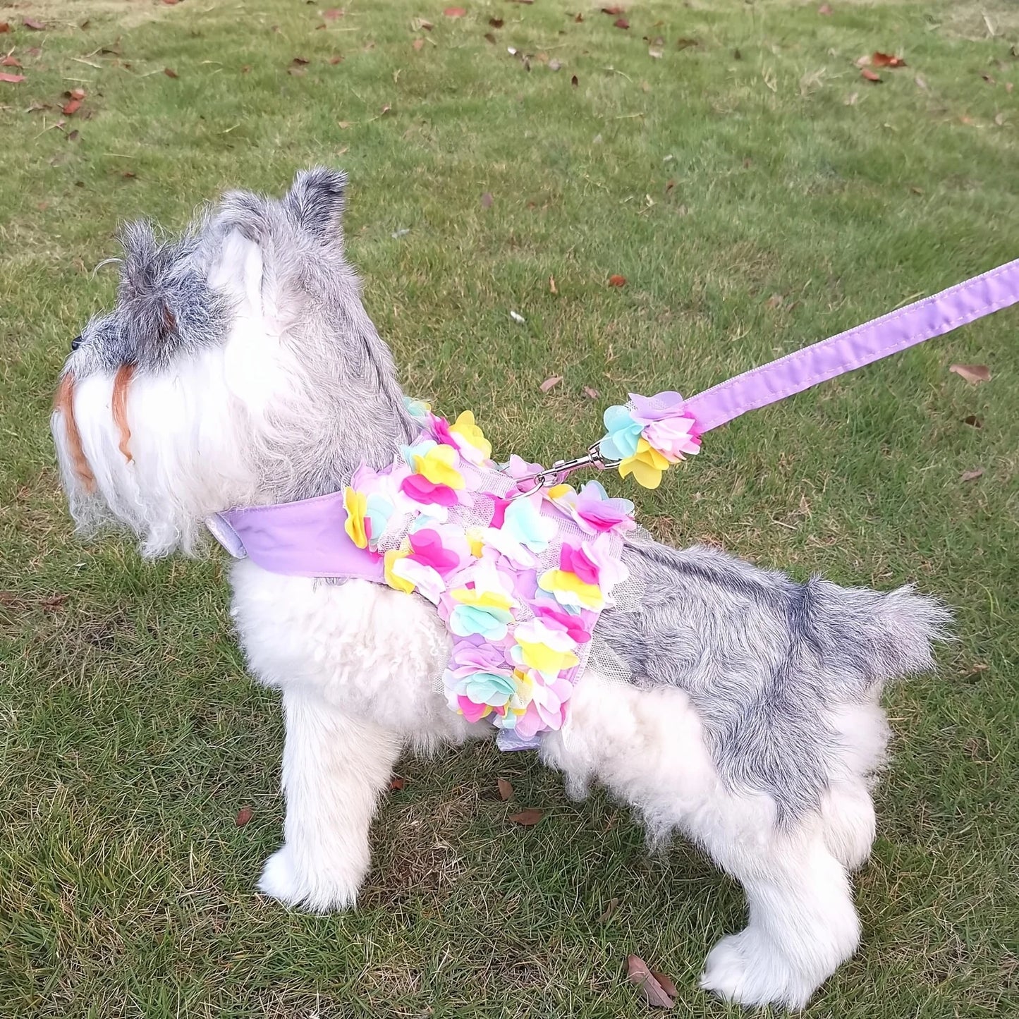 Floral Pet Dog Harness & Leash Set – For Small Cats and Dogs