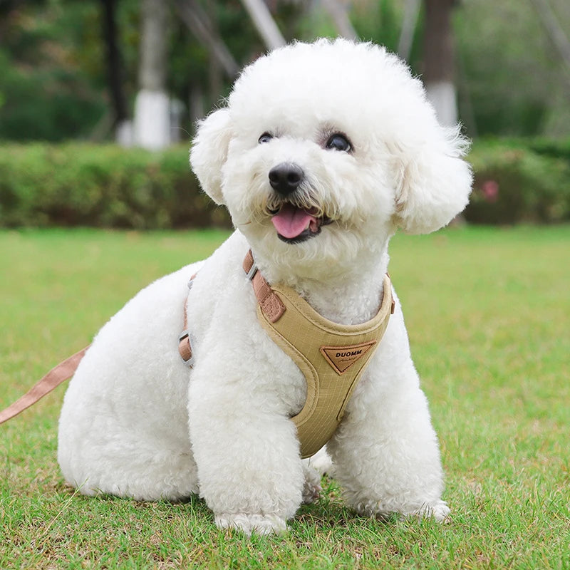 Breathable Cat Harness & Leash Set – Adjustable Vest for Small to Medium Cats and Dogs