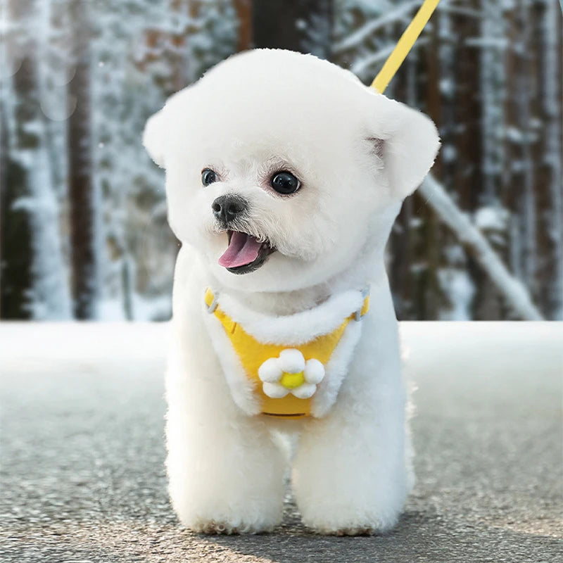Winter Warm Adjustable Dog Harness – Lovely, Stylish & Perfect for Small Pets