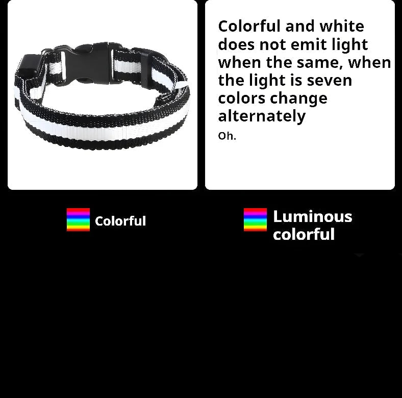 Glow-in-the-Dark LED Dog Collar & Leash – Night Safety for Your Luminous Pet