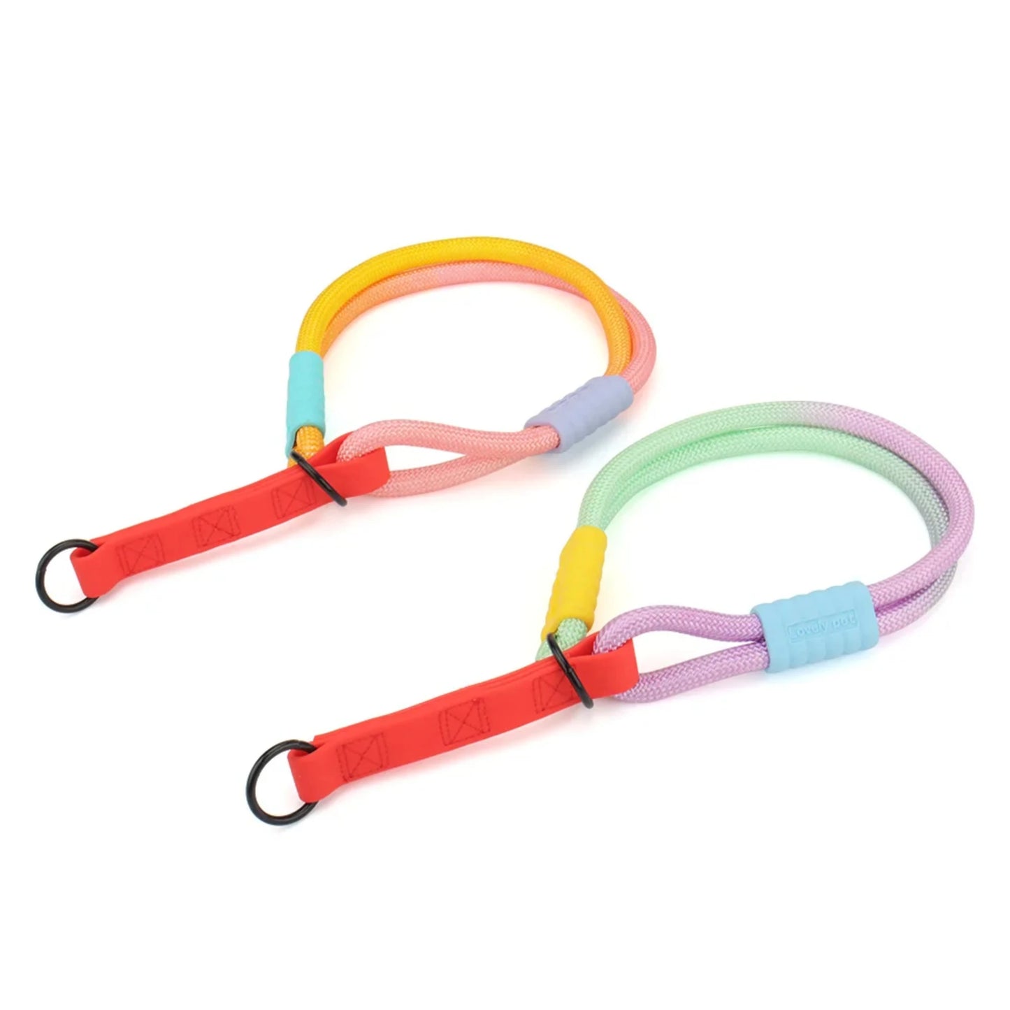 Bold Dog Collar – Stylish, Lightweight