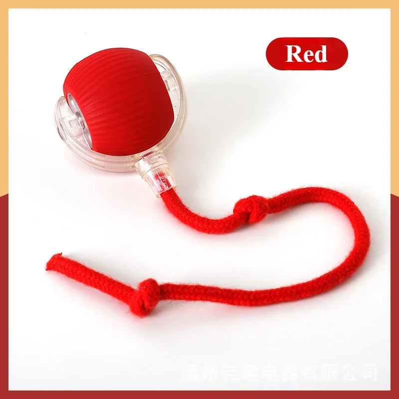 Whisker Chase Tail Ball-Rechargeable Toy for Endless Feline Adventures!