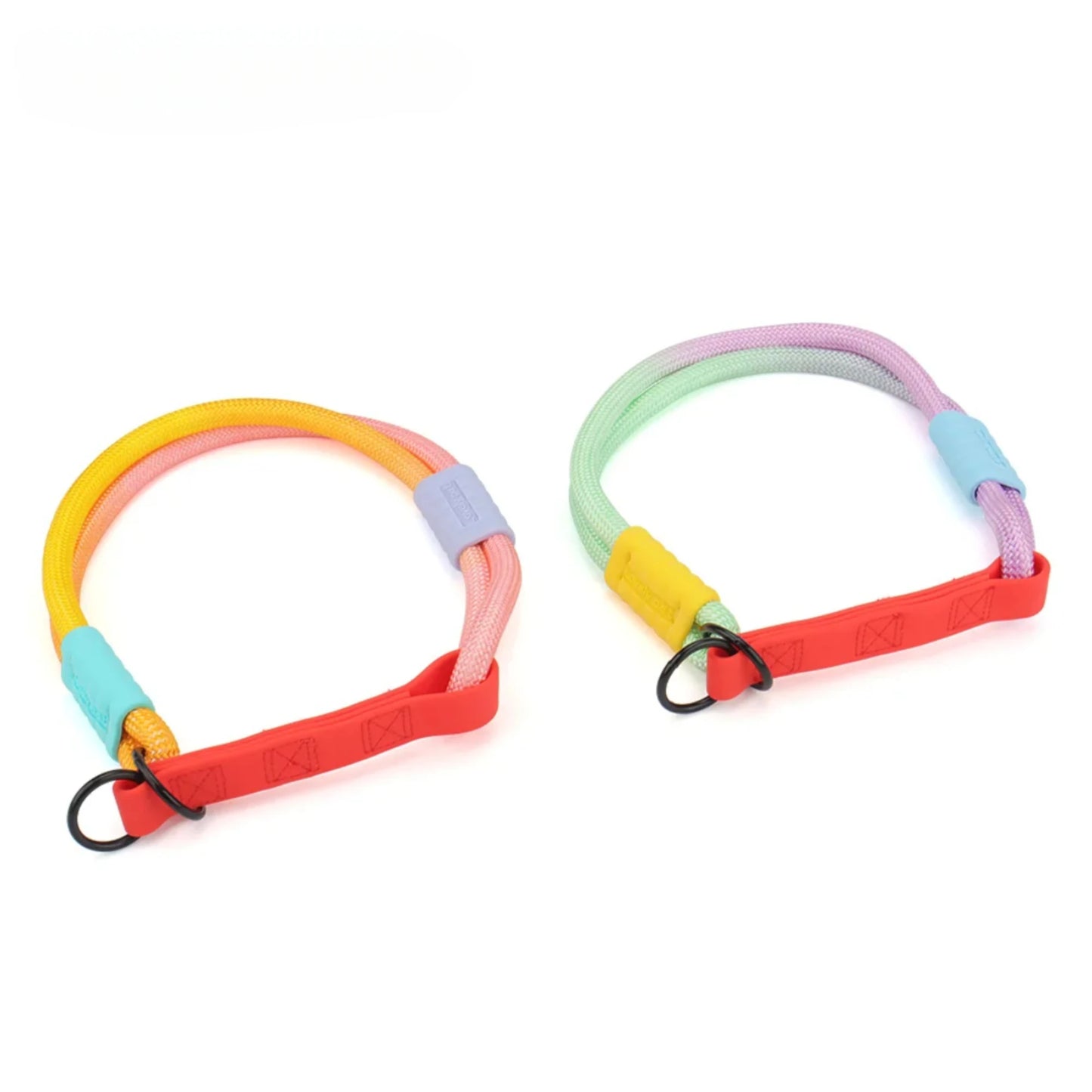Bold Dog Collar – Stylish, Lightweight