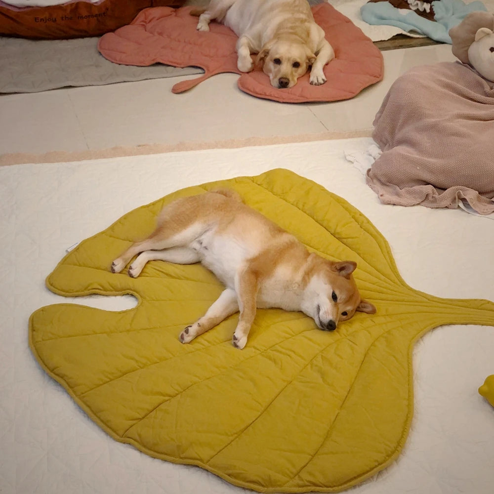 Leaf-Shaped Pet Bed Mat – Cozy, Stylish & Perfect for Every Pet