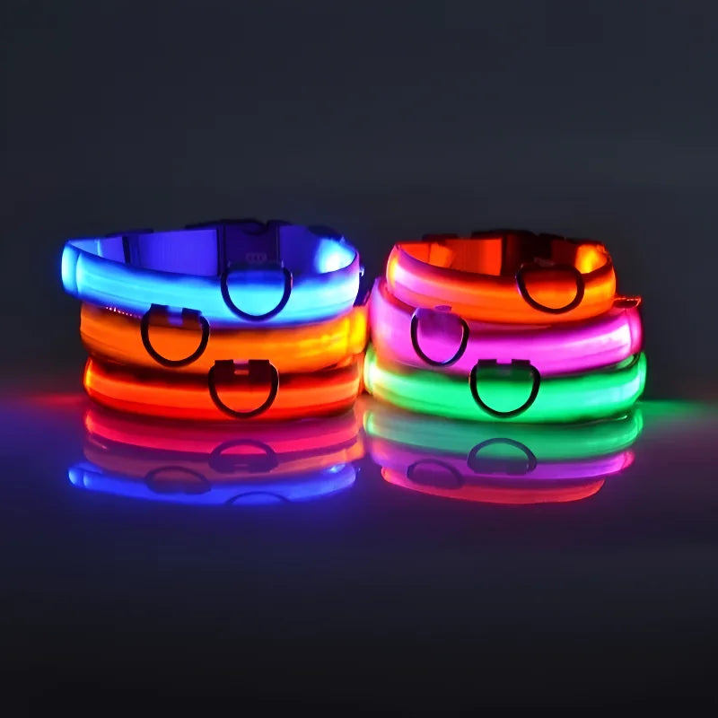 Glow-in-the-Dark LED Dog Collar & Leash – Night Safety for Your Luminous Pet
