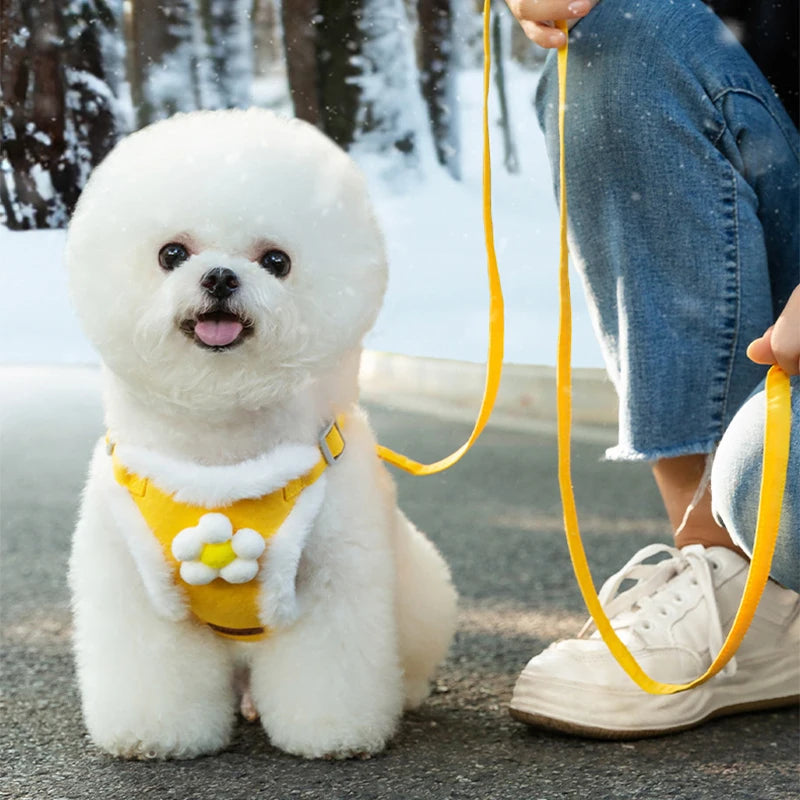 Winter Warm Adjustable Dog Harness – Lovely, Stylish & Perfect for Small Pets
