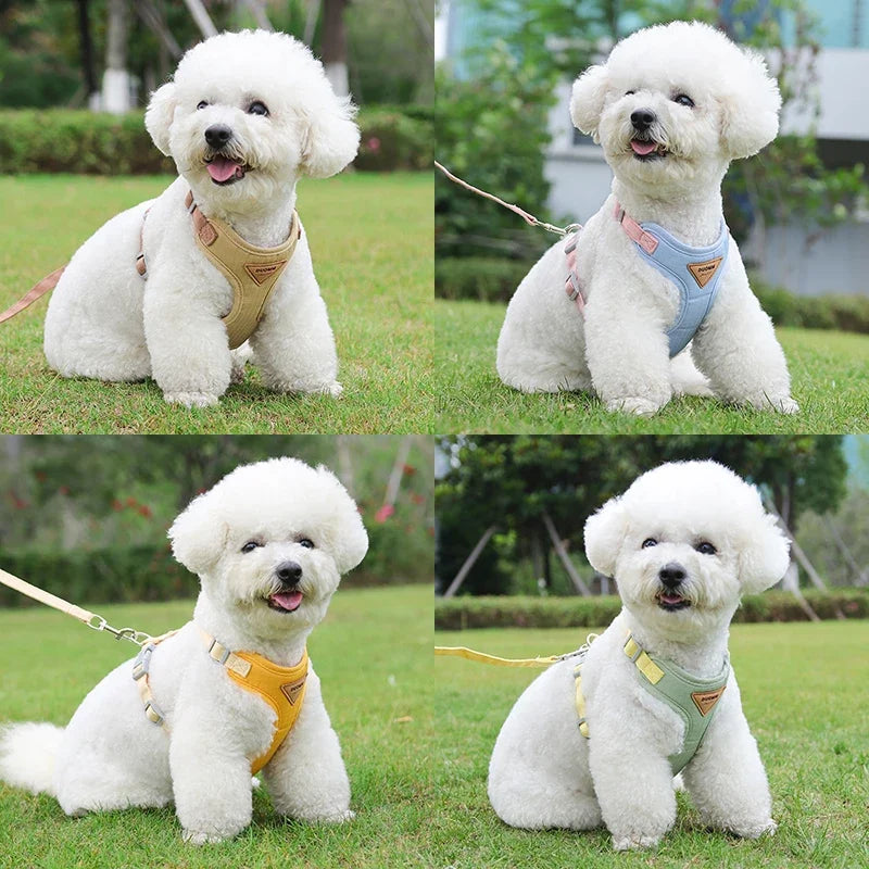 Breathable Cat Harness & Leash Set – Adjustable Vest for Small to Medium Cats and Dogs