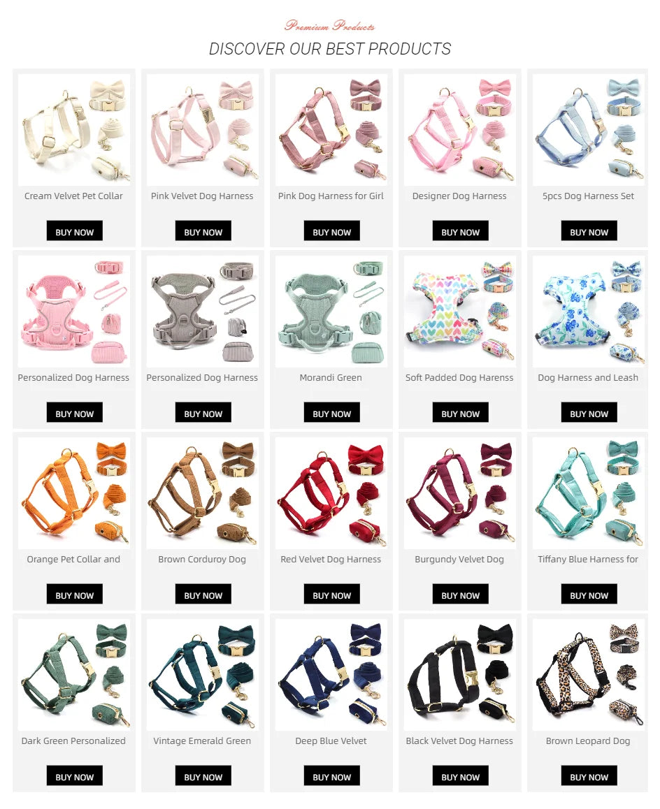 Pink Leopard Dog Harness Set – Personalized, Stylish, and Safe for Your Furry Fashionista