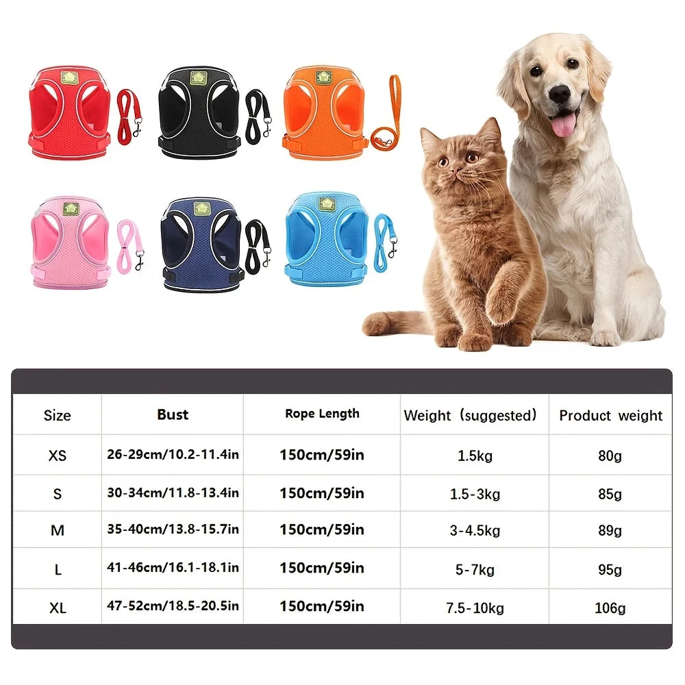 Reflective Cat Harness & Leash Set- Breathable Mesh, Vibrant Colours
