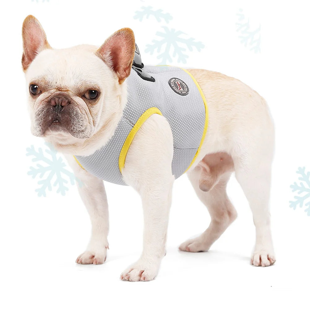 Summer Breeze Cooling Vest: Stylish Comfort for Your Pup's Hot-Weather Adventures!
