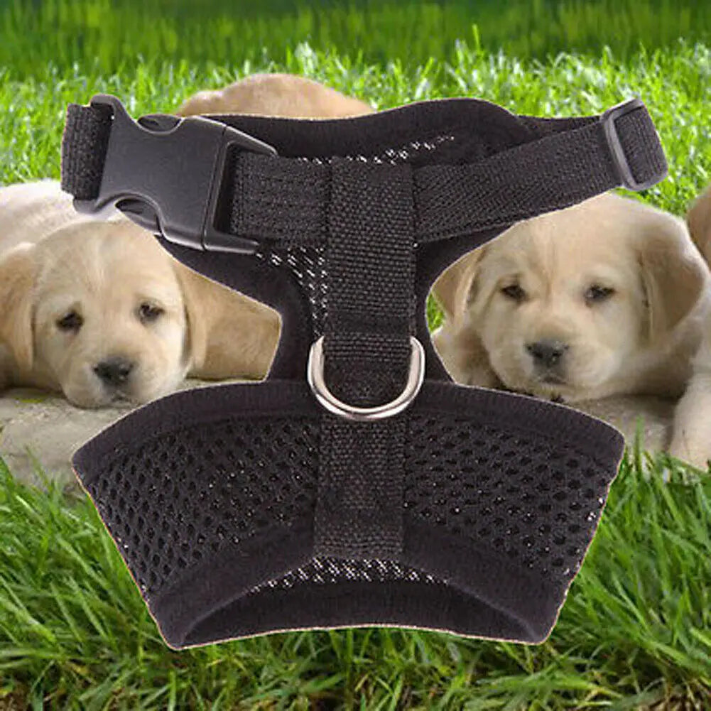 Breathable Mesh Dog Harness – Comfort, Style & Safety for Your Pup