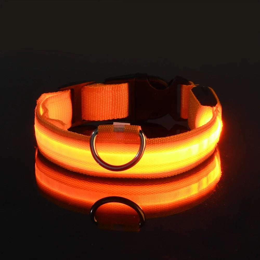 Glow-in-the-Dark LED Dog Collar & Leash – Night Safety for Your Luminous Pet