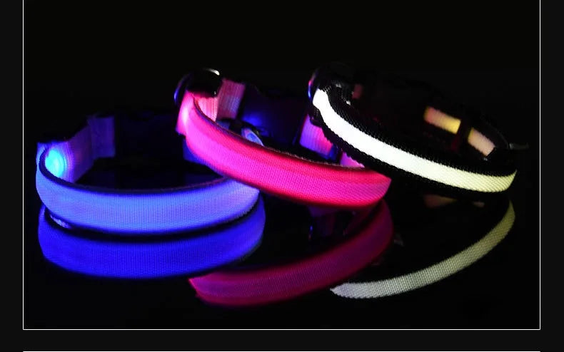 Glow-in-the-Dark LED Dog Collar & Leash – Night Safety for Your Luminous Pet