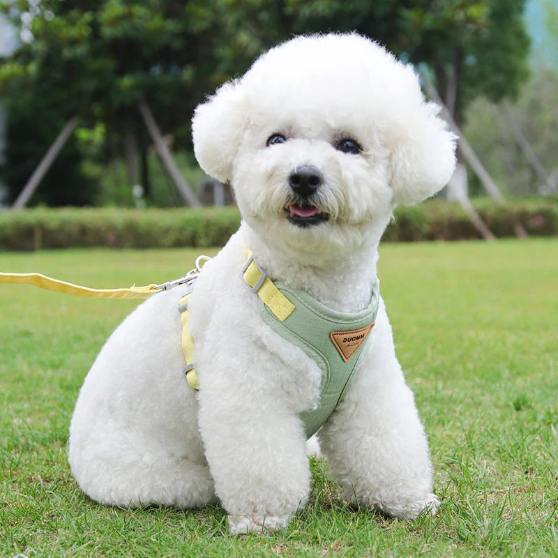 Breathable Cat Harness & Leash Set – Adjustable Vest for Small to Medium Cats and Dogs