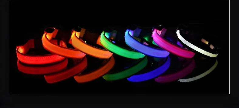 Glow-in-the-Dark LED Dog Collar & Leash – Night Safety for Your Luminous Pet
