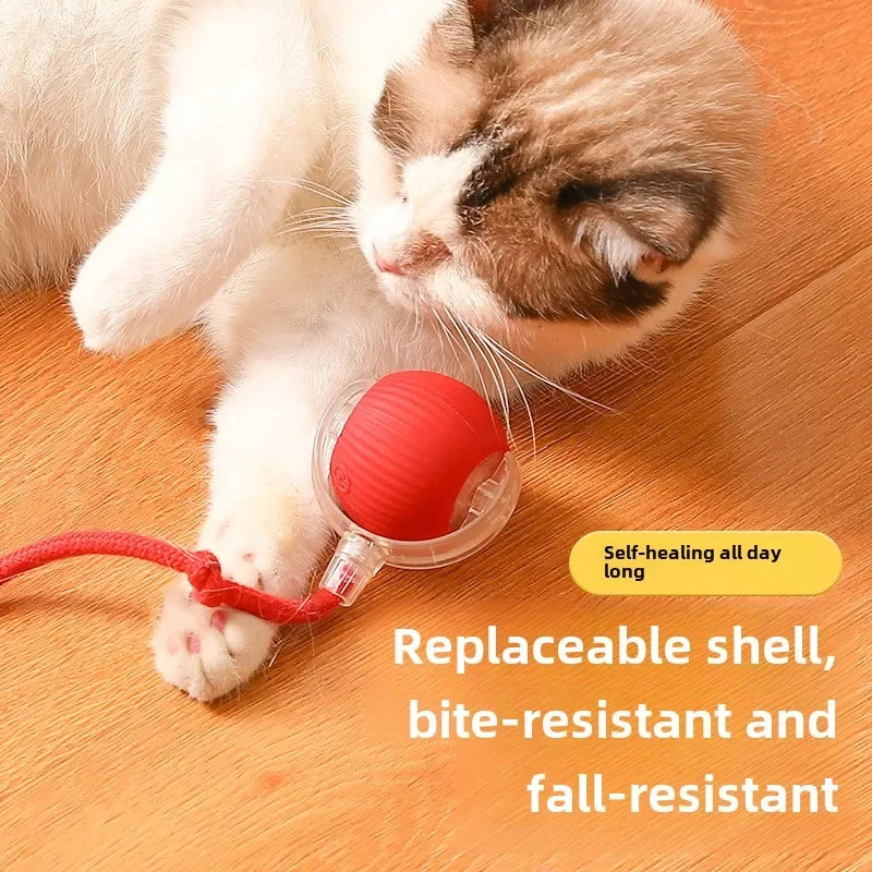 Whisker Chase Tail Ball-Rechargeable Toy for Endless Feline Adventures!