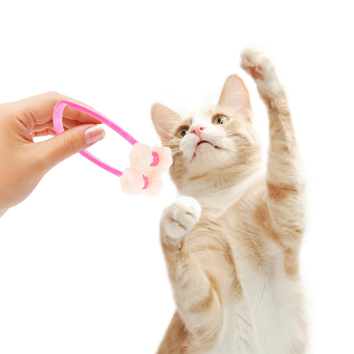 Cat Massage Roller Head/Feet/ Legs-For Stress Relief And Bonding Moments