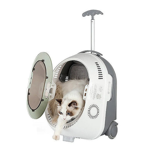 Perfect Travel Buddy – The Pet Carrier Suitcase- Airline Approved