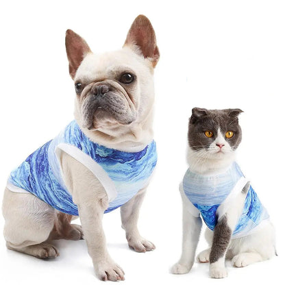 Sizzle and Chill: Summer Cooling Vest for Your Furry Friends!