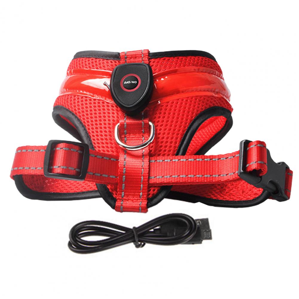 Allergy-Free LED Dog Harness – Safe, Stylish, and Comfortable for Sensitive Pets