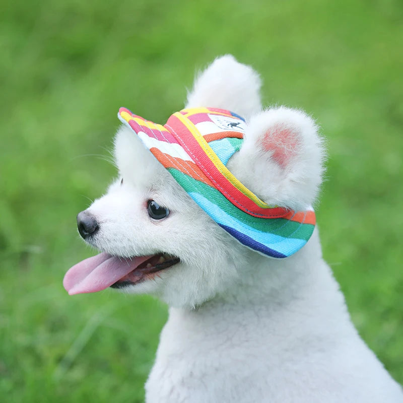 Cool & Comfy Summer Sunhats for Your Active Doggy – Lightweight Mesh & Canvas Styles for Pets Big and Small!