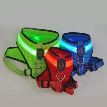 Allergy-Free LED Dog Harness – Safe, Stylish, and Comfortable for Sensitive Pets