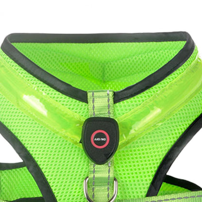 Allergy-Free LED Dog Harness – Safe, Stylish, and Comfortable for Sensitive Pets