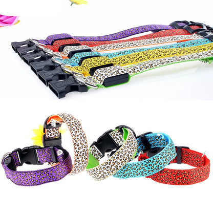 LED Dog Collar – Stylish, Waterproof & Safety-Enhanced Night Glow with Adjustable Fit