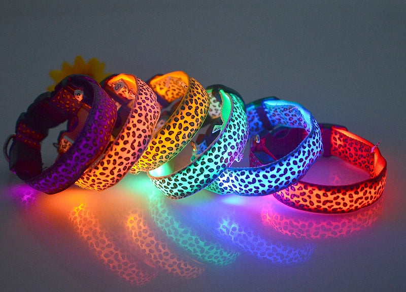 LED Dog Collar – Stylish, Waterproof & Safety-Enhanced Night Glow with Adjustable Fit