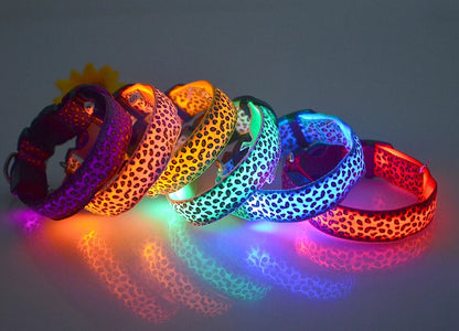 LED Dog Collar – Stylish, Waterproof & Safety-Enhanced Night Glow with Adjustable Fit