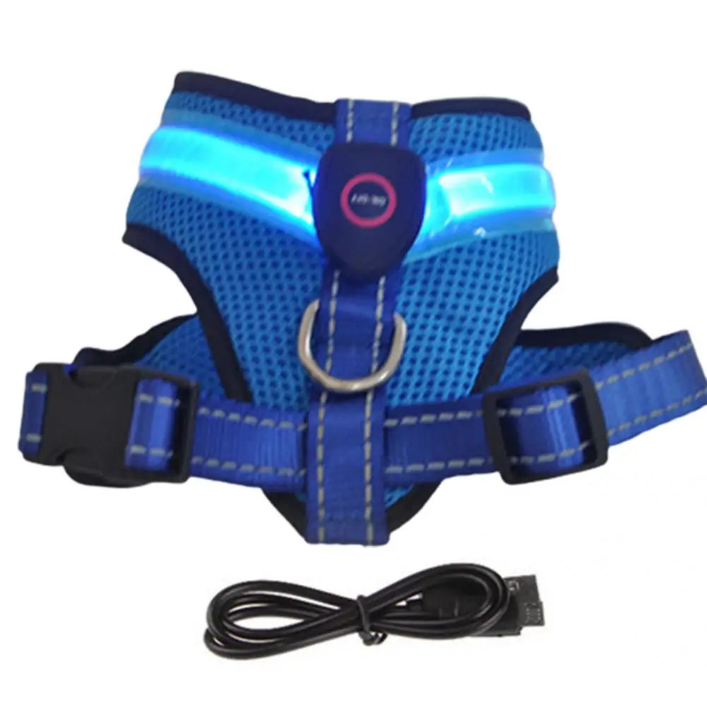Allergy-Free LED Dog Harness – Safe, Stylish, and Comfortable for Sensitive Pets