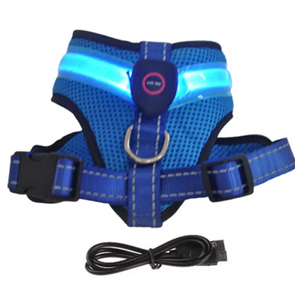 Allergy-Free LED Dog Harness – Safe, Stylish, and Comfortable for Sensitive Pets