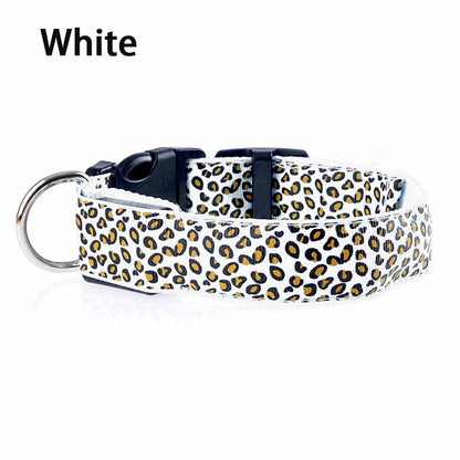 LED Dog Collar – Stylish, Waterproof & Safety-Enhanced Night Glow with Adjustable Fit