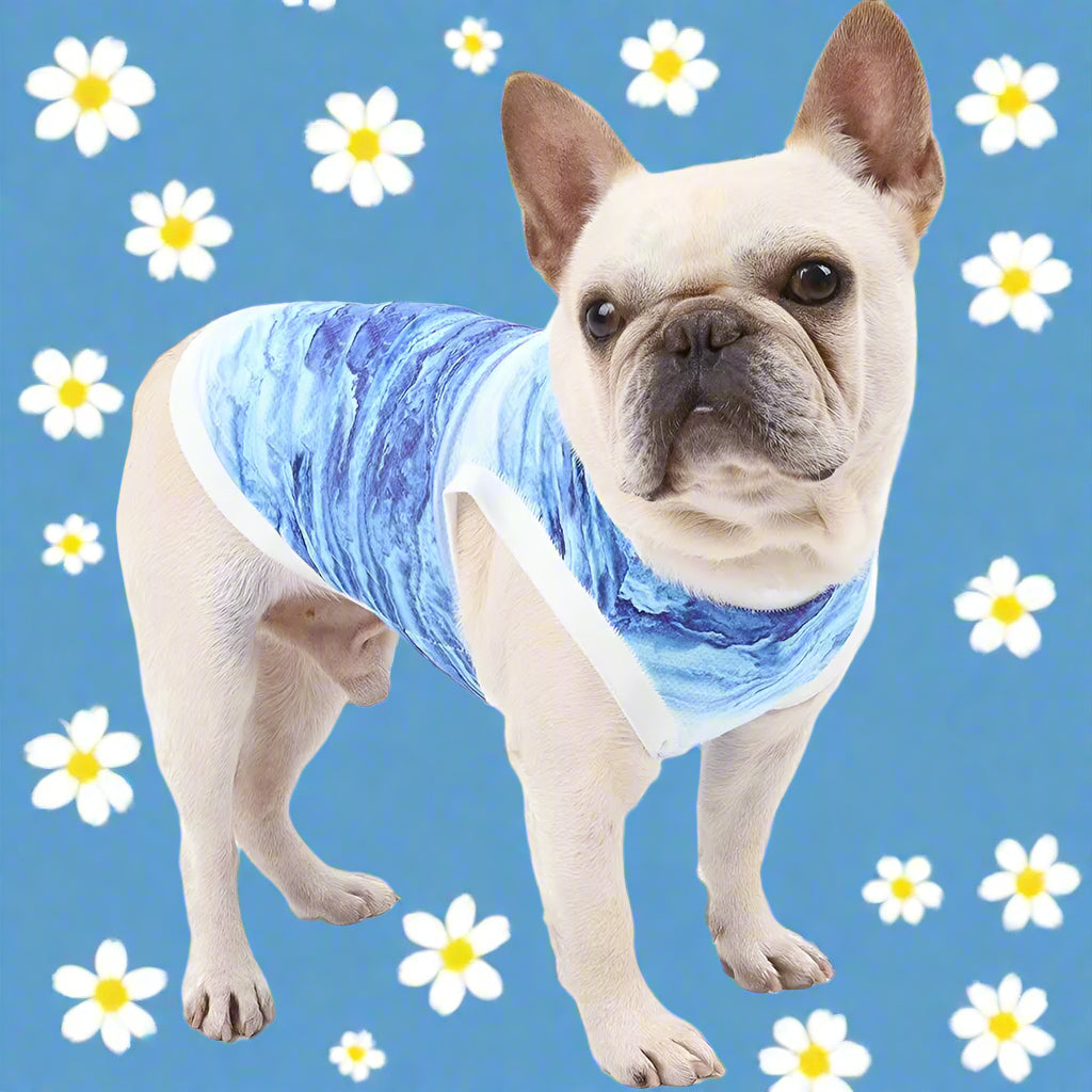 Sizzle and Chill: Summer Cooling Vest for Your Furry Friends!