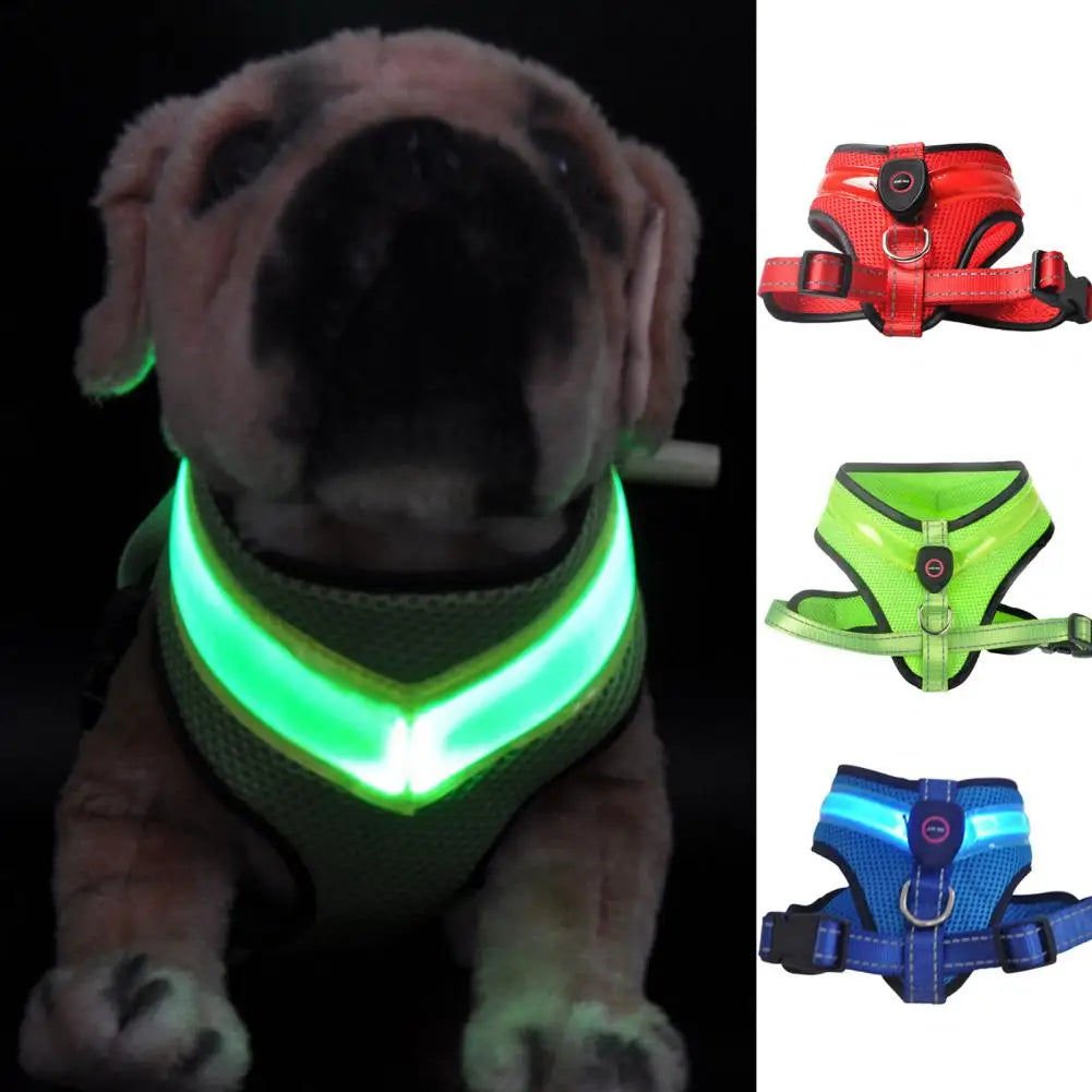Allergy-Free LED Dog Harness – Safe, Stylish, and Comfortable for Sensitive Pets